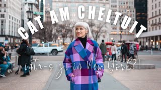 Cat am cheltuit intro zi in New York [upl. by Heilner]