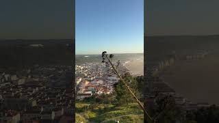 Beautiful Nazaré Portugal 🇵🇹 home of the biggest waves in the world 🌍 ondasgigantes [upl. by Ernesto]