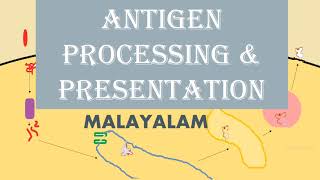 ANTIGEN PROCESSING AND PRESENTATION  MALAYALAM [upl. by Cleavland]