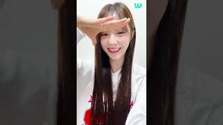 나나밤🍀🐰🎀  WOOAH Weverse LIVE SUB 240927 [upl. by Samala]