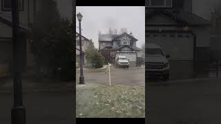 Heavy Wet Snow Event Chestermere Alberta April 29thMay 1st 2024 [upl. by Siraf]