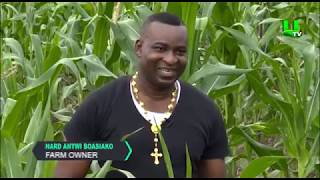 AYEKOO Chairman Wontumi on Commercial Farming [upl. by Nitsyrc434]