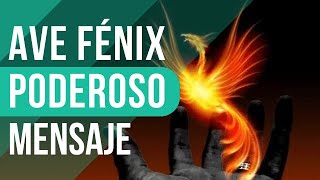 🔴 Renace como el Ave Fénix motivacion autocontrol filosofiaestóica [upl. by Damahom]