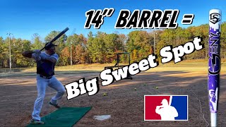 Louisville Slugger Genesis 14” Barrel Bat Review [upl. by Naman40]