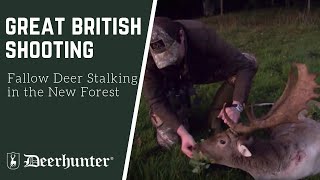 Fallow Deer Stalking in the New Forest [upl. by Atilrahc]