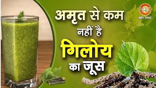 Giloy Ke Juice Ke Fayde  Giloy Juice Benefits  Giloy Ke Fayde  Tinospora Cordifolia  Health Tips [upl. by Vudimir]