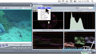 Color Correcting Multiple clips in Final Cut Pro [upl. by Nebe]