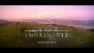 7 Thüringeti Auktion 2020 Aftermovie [upl. by Akihsar]