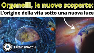 Organelli le nuove scoperte L origine della vita sotto una nuova luce [upl. by Seka491]