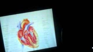 3 Formation Continue Anatomie et Physiologie du Coeur Humain le 23 10 2010 [upl. by Klinger]