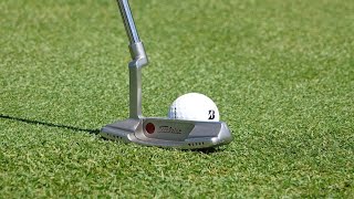 Best Golf Putters for Beginners A Comprehensive Guide [upl. by Willow]