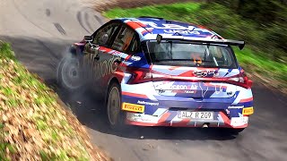 Rally della Marca 2024  CRASH amp MISTAKES [upl. by Filiano]