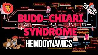 BUDDCHIARI SYNDROME Pathogenesis of clinical symptoms Hemodynamics of Hepatic vein thrombosis [upl. by Vassaux]