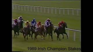 1989 Irish Champion Stakes [upl. by Aphra]