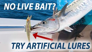 Kingfish on Artificial Lure in Jacksonville Florida [upl. by Norrahc]