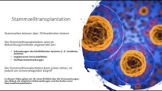 Stammzelltransplantation  Voraussetzungen Ablauf Nebenwirkungen und Kosten [upl. by Eislehc]