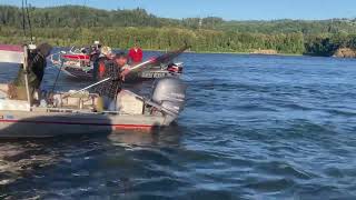 Wooldridge Bonks a Summer Chinook [upl. by Buchalter]