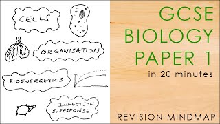 All of BIOLOGY PAPER 1 in 20 mins  GCSE Science Revision Mindmap 91 AQA [upl. by Aihcela757]