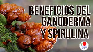 BENEFICIOS DEL GANODERMA Y SPIRULINA DXN  DR JOSÉ LUIS SALCEDO SÁNCHEZ [upl. by Aelyk]