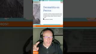 TODO SOBRE LA DERMATITIS EN PERROS [upl. by Vincents]