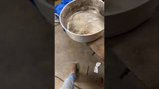 How to clean Aluminum pan VINEGAR works Wonders [upl. by Nemzaj971]