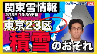 【関東雪情報】東京23区では積雪のおそれも 南岸低気圧が接近 202423 13時30分更新 [upl. by Ahsan]