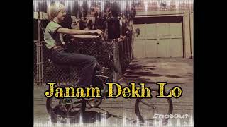 Janam dekh lo full song Main yahaan hoonlyricsUdit NarayanVeerZaara [upl. by Ellennad479]