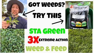 Weed amp FeedSta Green 3X Extreme Action Application and Results weedampfeed stagreen weedcontrol [upl. by Vasiliki]