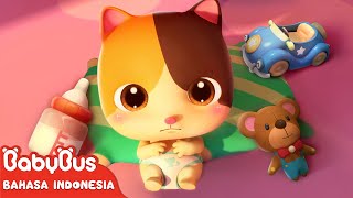 Bayi Kucing Super Lucu amp Imut 🍼 Lagu Anak amp Kartun Anak  Kebiasaan Baik  BabyBus Bahasa Indonesia [upl. by Mckee]