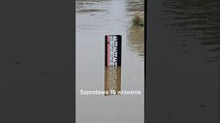 Szprotawa prognozowana fala o wysokości 533 m powodz woda kataklizm Bóbr rzeka [upl. by Arv]