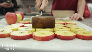 How Apples Are Made In A Lab [upl. by Eiramassenav212]