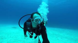 Eleuthera Bahamas Diving 2015 [upl. by Marge652]