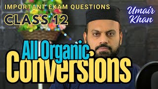 All Organic Chemistry Conversions in one shot for Class 12 [upl. by Sikras837]