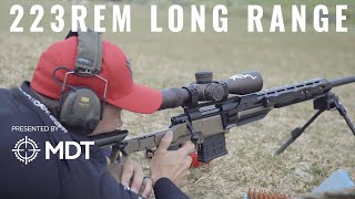 223Rem Effective At Long Range [upl. by Amikahs]