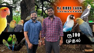 ரூ 100 முதல் RJ Birds Farm  Biggest birds farm Lowest price  Delivery Available [upl. by Slein108]