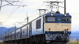 1028 群馬県民の日団臨 EF64 1053 旧客6B EF65 501 PP運転 [upl. by Sandell614]