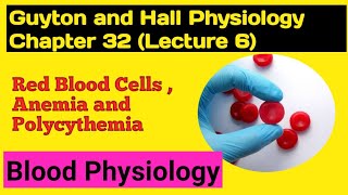 Chapter 32 Lecture 6 Role of the Kidneys in Formation of Erythropoietin Guyton and Hall CHP 32 [upl. by Akir701]