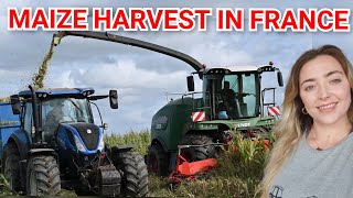 MAIZE HARVEST IN RURAL FRANCE  Sommet de lélevage with Irish Companies [upl. by Harrat]