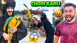 USAMA KA 4 LAKH KA PARROT CHORI KARLI🤣  MISHKAT KHAN VLOG [upl. by Barlow119]