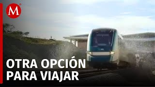 Los trenes de Sheinbaum competirán con aviones en el transporte de pasajeros [upl. by Saint]