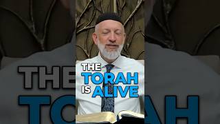 The Torah is ALIVE shorts [upl. by Nivlam]