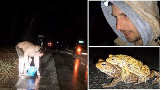 Krötenwanderung🐸 💪Spontane Rettungsaktion im Regen [upl. by Player195]