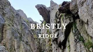 Bristly Ridge Via Sinister Gully [upl. by Roselle440]