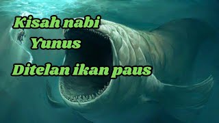 Kisah nabi Yunus ditelan ikan paus [upl. by Anauqahc]