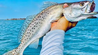 Chasing Speckled Trout and Redfish on a Microskiff Catch Clean Cook [upl. by China]