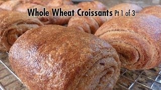 Whole Wheat Croissants Pt 1 of 3 [upl. by Eerased]