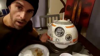 Weathering the BB8 Dome [upl. by Yraunaj]