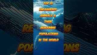 Top 10 Endangered Animals and Their Remaining Populations in the world shorts animals [upl. by Kennett]