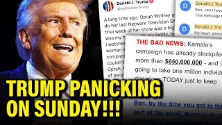 OMG Trump FREAKS OUT Sunday after VERY BAD NEWS [upl. by Kimmi607]