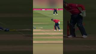 Best Runouts by Wicket Keepers 🔥  Cricket Flick cricket ipl runout [upl. by O'Mahony898]